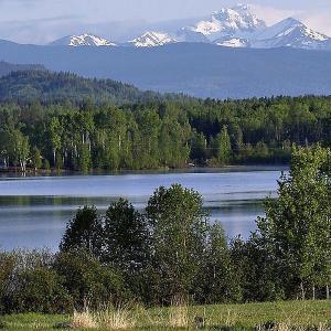 Photo of Smithers